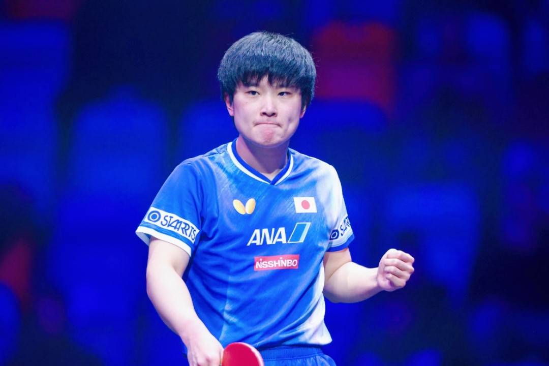 中国队横扫波兰队，张本智和高光表现的简单介绍