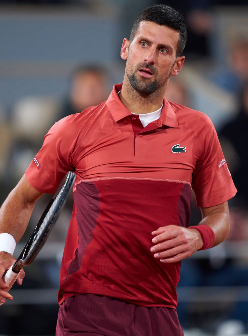 温网轻取美网，德约科维奇刷新纪录的简单介绍