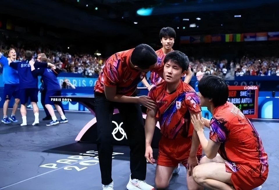 关于波兰队完胜瑞典队,张本智和刷新纪录的信息 关于波兰队完胜瑞典队,张本智和刷新纪录的信息