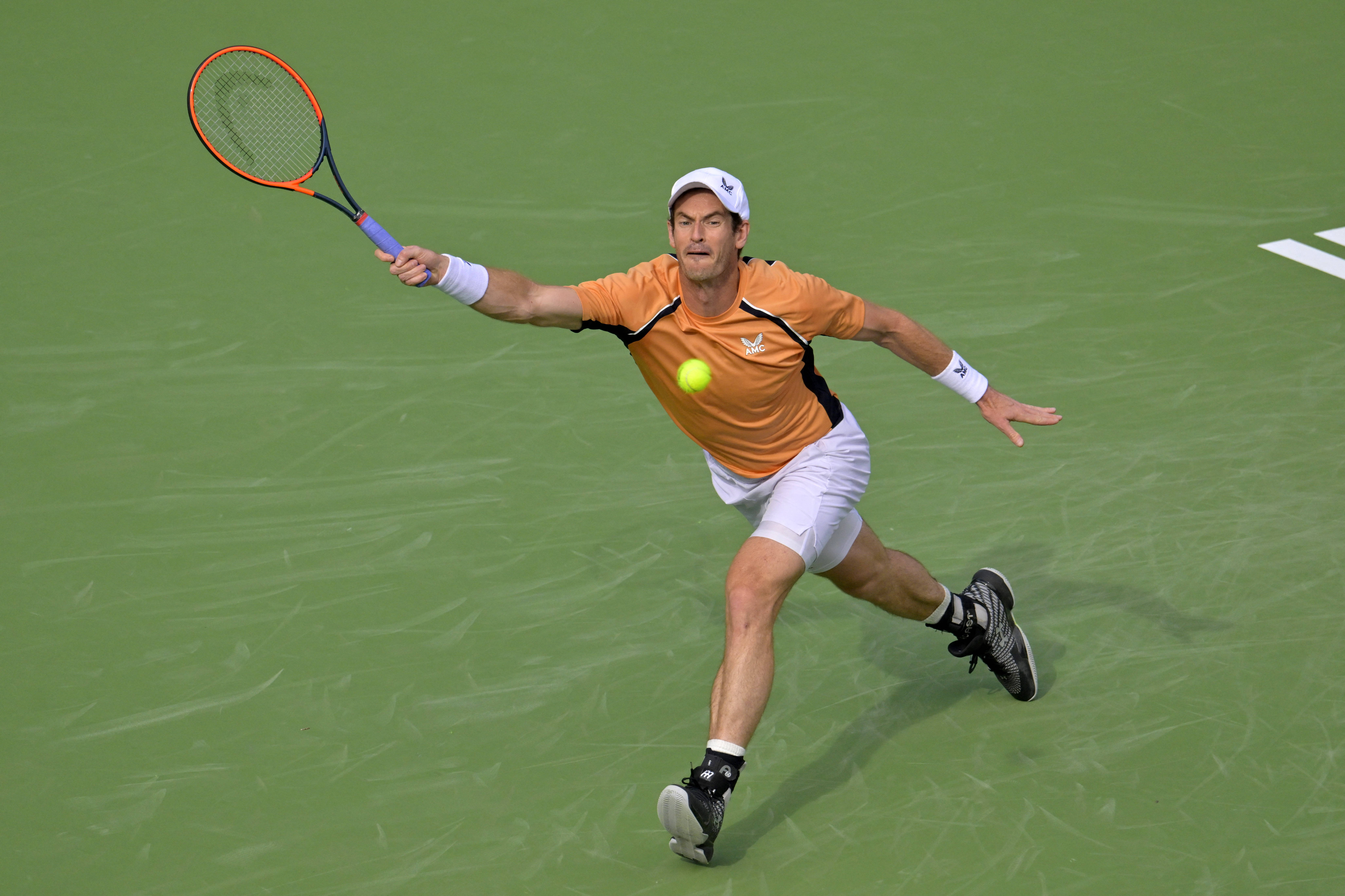 开云体育登录-包含戴维斯杯绝杀美网，穆雷点燃赛场的词条