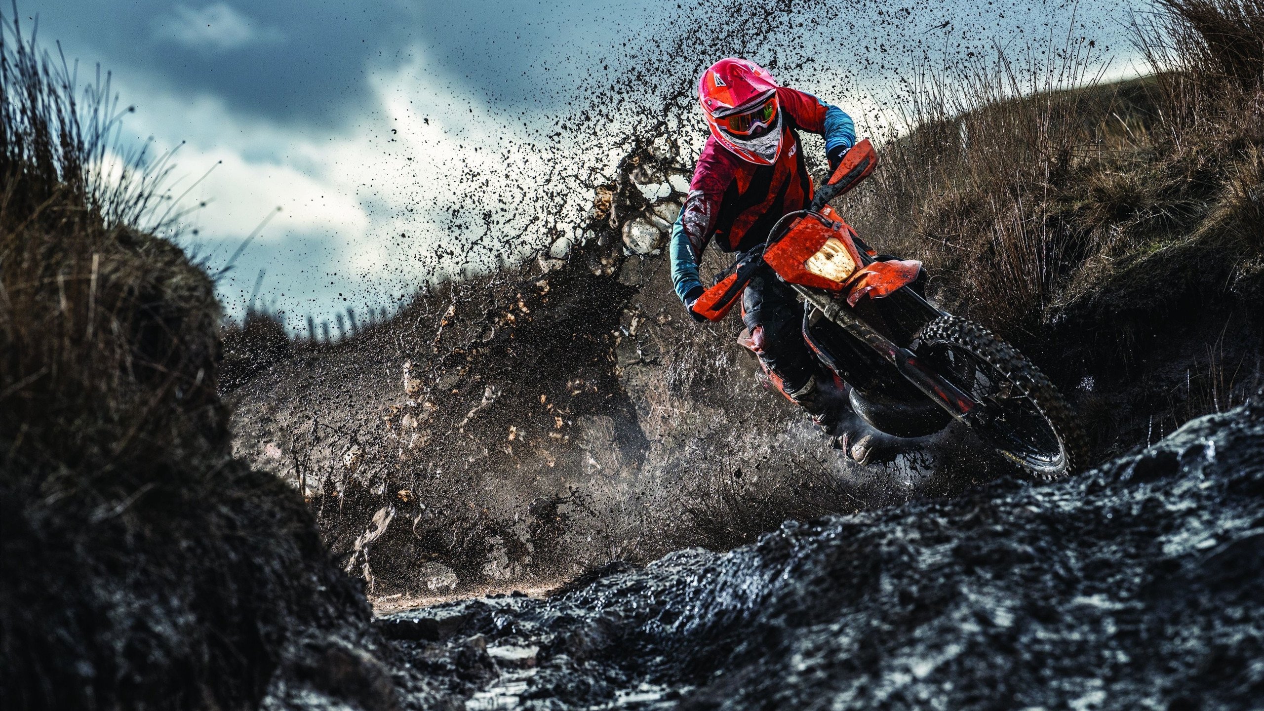 开云官方app入口-欧洲杯经典复盘，爱尔兰关键战突围法国，穆勒成为关键先生